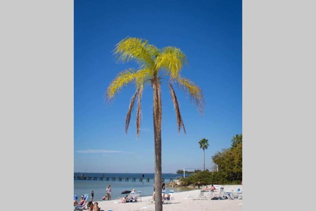 Riverview, Studio 507, Beach Steps Away!+Pool+Wifi Ράσκιν Εξωτερικό φωτογραφία